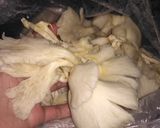 Foto langkah ke 1 dari resep Sate jamur tiram.
