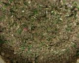 A picture of step 5 of Microwave Duxelles.