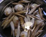 A picture of step 1 of Chunky Taro Root, Burdock Root, and Pork Japanese-Style Curry.