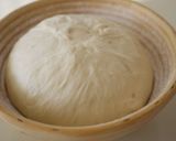 A picture of step 5 of Lys d'Or Soft French Bread.