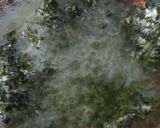 Foto langkah ke 6 dari resep Bakwan daun singkong gurih.