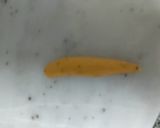 A picture of step 4 of Fafda.