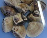 A picture of step 2 of A Chef's Recipe for Hamaguri Clam Broth for Girl's Day.