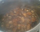 A picture of step 4 of My stew under cover 😀.