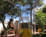Foto del paso 4 de la receta: Infusión desintoxicante 🍋