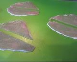 A picture of step 1 of How to Make a Rose with Cured Ham.