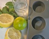 Foto del paso 1 de la receta: Cubitos de hielo con tónica y cítricos