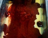 A picture of step 11 of Ombre cake(without oven).