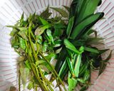 Hình bước làm 1 của món Nước mát thuốc dòi