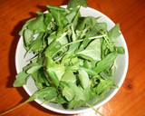 Foto del paso 1 de la receta: Ensalada veraniega de garbanzos con vinagreta