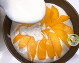 免烤玉文芒果優格乳酪蛋糕的食譜步驟14照片