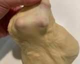 滿滿肉鬆の肉鬆麵包（青蔥/海苔）的食譜步驟1照片