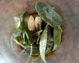 Foto del paso 1 de la receta: Pesto de Salvia