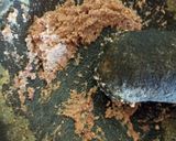 Foto langkah ke 1 dari resep Semur Telur dan Tahu Coklat.