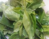 Foto del paso 3 de la receta: Puré de papas, espinaca y albahaca. Buenísimo.🇵🇪