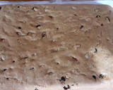 Foto del paso 5 de la receta: Budín ingles. Grace