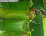 Foto langkah ke 5 dari resep Pepes ikan tongkol pasti suedap.