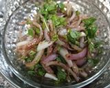 A picture of step 9 of Onion salad.