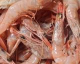 Foto del paso 6 de la receta: 194. Gambas Cocidas