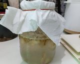 Foto langkah ke 2 dari resep Fermented Homemade Ginger Soda.