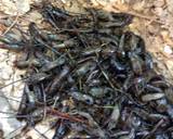 Southern crawfish recipe step 2 photo