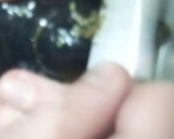 Foto del paso 1 de la receta: Mejillones en Salsa Marinera Picante