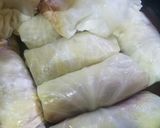 A picture of step 5 of Dolma.