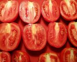 Foto del paso 1 de la receta Tomates secos sabor anchoas y albahaca en aceite