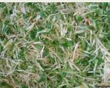 A picture of step 1 of Samudra methi ki sabji.