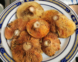 Foto del paso 2 de la receta: Risotto al funghi