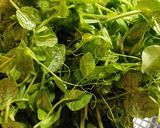 Hình bước làm 1 của món Đọt đậu Hà Lan nấu tôm khô