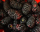 A picture of step 1 of Quick Blackberry Cobbler.