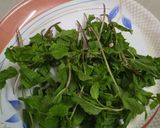 ஃப்ரெஷ் புதினா இஞ்சி லெமன் ஜூஸ் ரெசிபி ஸ்டேப் 1 புகைப்படம்