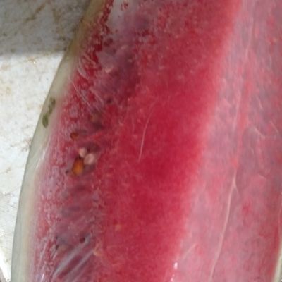 Langkah 1