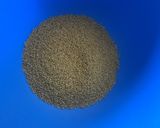 A picture of step 1 of Foxtail Millet Upma.