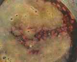 Foto langkah ke 3 dari resep Martabak Tahu Telur dengan Kuah ala Cuko.