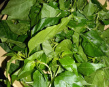 A picture of step 3 of Tinolang manok.