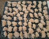 Honey garlic Baked nuggets recipe step 4 photo
