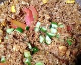 Foto langkah ke 4 dari resep Nasi goreng tongkol pedas bumbu simple.