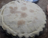 Foto del paso 5 de la receta: Masa para tarta tipo pascualina
