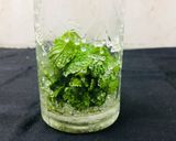 काक्टेल मोहितो (Cocktail mojito recipe in hindi) रेसिपी चरण 2 फोटो