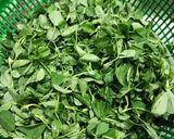 मेथी ची भाजी (methi chi bhaji recipe in marathi) रेसिपी स्टेप 1 फोटो 
