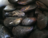 Foto del paso 2 de la receta: Clochinas valencianas