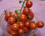 Foto del paso 4 de la receta: Tortilla abierta con quesos, sobrasada, cherrys y aguacate
