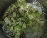 ફુદીના નો ઉકાળો(phudino ukalo recipe in Gujarati) રેસીપી સ્ટેપ1ફોટો