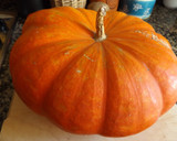 Foto del paso 1 de la receta: Crema de calabaza de otoño con cúrcuma