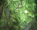 A picture of step 1 of Corn Palak Spinach.