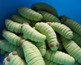 Foto langkah ke 7 dari resep Caterpillar Cookies.