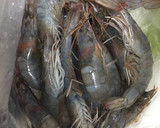 Foto del paso 2 de la receta: Guiso marinero