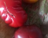 Une image de l'étape 2 de Tomates entières en bocaux.